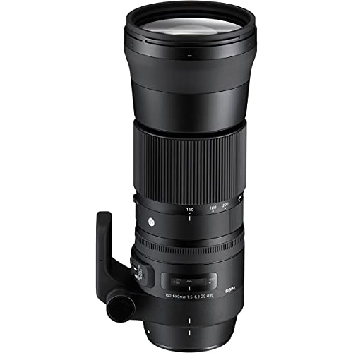 31L5sv-1+CS.jpg